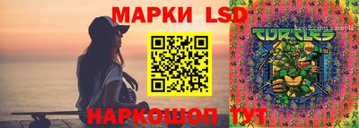 соль ск Будённовск