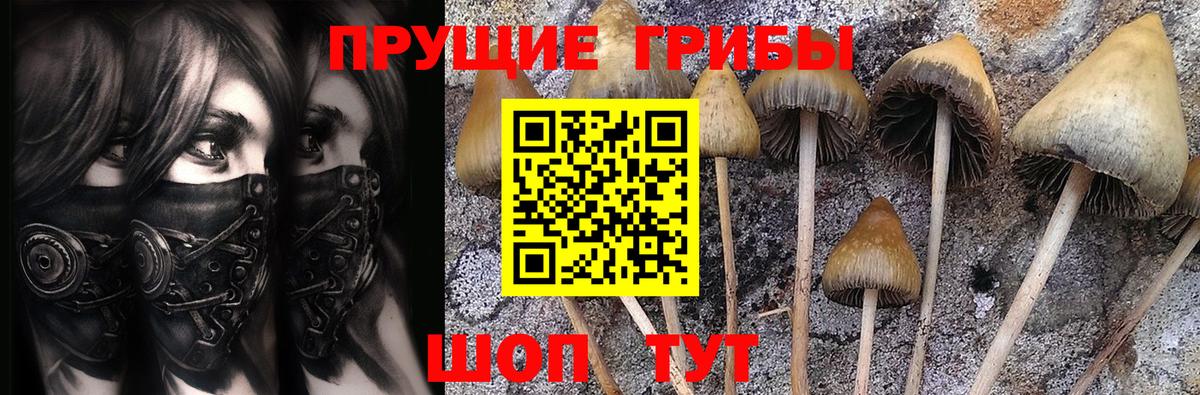 Протвино  Псилоцибиновые грибы мухоморы  Вход с VPN  наркота  Псилоцибиновые грибы Cubensis 