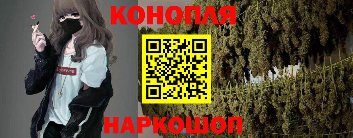 МАРИХУАНА сатива Протвино